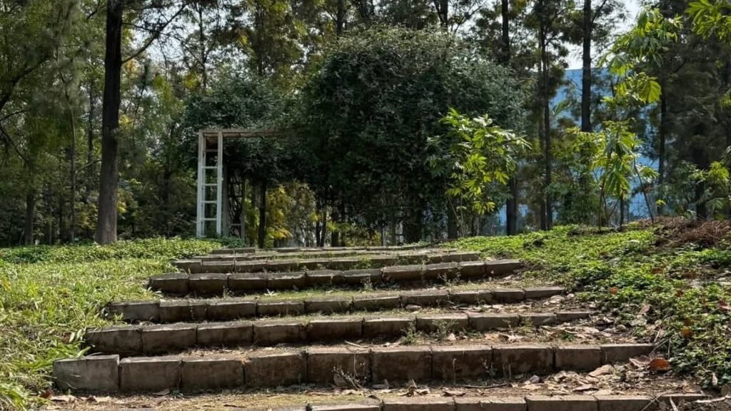 THE BURN OF MILK AND THE WISDOM OF BUTTERMILK